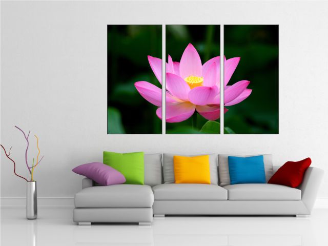 Multicanvas floare Lotus - cod E11
