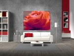 Tablou floare rosie - cod B01