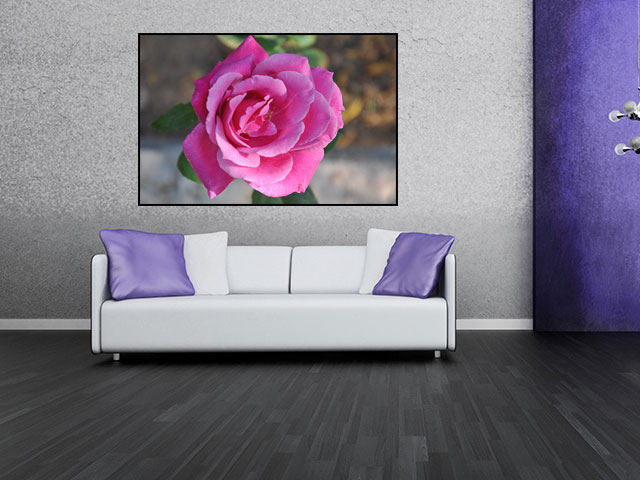 Tablou trandafir roz - cod A50